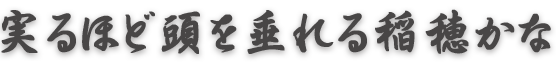 実るほど頭を垂れる稲穂かな